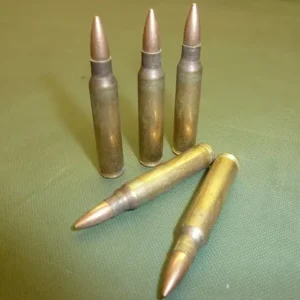 INERT 5.56 AMMUNITION (A19)