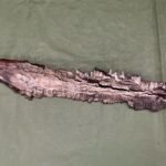 LARGE PIECE OF SCHRAPNEL (WSB3)
